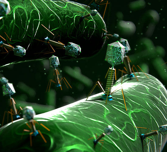 Recreación artística de un fago T4.  Thomas Bruvold.