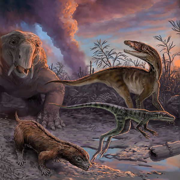 En la imagen se observa un grupo de animales que escapan de un volcán en erupción hace 235 millones de años en el noroeste de Argentina. Las especies, que se encuentran como fósiles en la Formación Chañares, incluyen ancestros de los mamíferos (el dicinodonte Dinodontosaurus en el fondo a la izquierda, y el cinodonte Massetognathus en primer plano a la izquierda) y los precursores de dinosaurios (Lewisuchus en el fondo a la derecha, y Lagerpeton en primer plano a la derecha). Ilustración: Victor Leshyk.