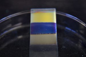 Muestra sobre vidrio de un cristal fotónico poroso sintetizado por sol-gel de 6, 7 y 8 capas. Foto: Diana Martinez Llaser.