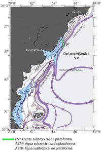 Representación esquemática de la circulación en la Plataforma del Atlántico Sudoccidental; del agua subantártica de plataforma, y del agua subtropical de plataforma.