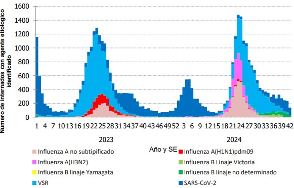 Grafico