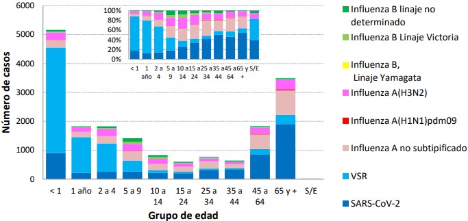 Grafico