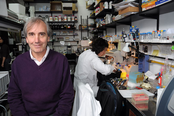 Alberto Kornblihtt en su laboratorio. Foto: CePro-EXACTAS
