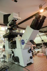 El microscopio utilizado en la investigación es, por sus características, único en América Latina. Foto: Archivo Exactas UBA.