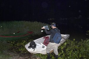 Para dar con esa diminuta rana, integrantes del equipo se embarcaban de noche en una piragua por arroyos de Santa Fe o Corrientes.