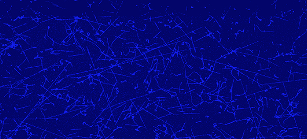 Primera imagen tomada por el detector Skipper CCD (coloreada artificialmente) donde se visualizan trazas de muones.